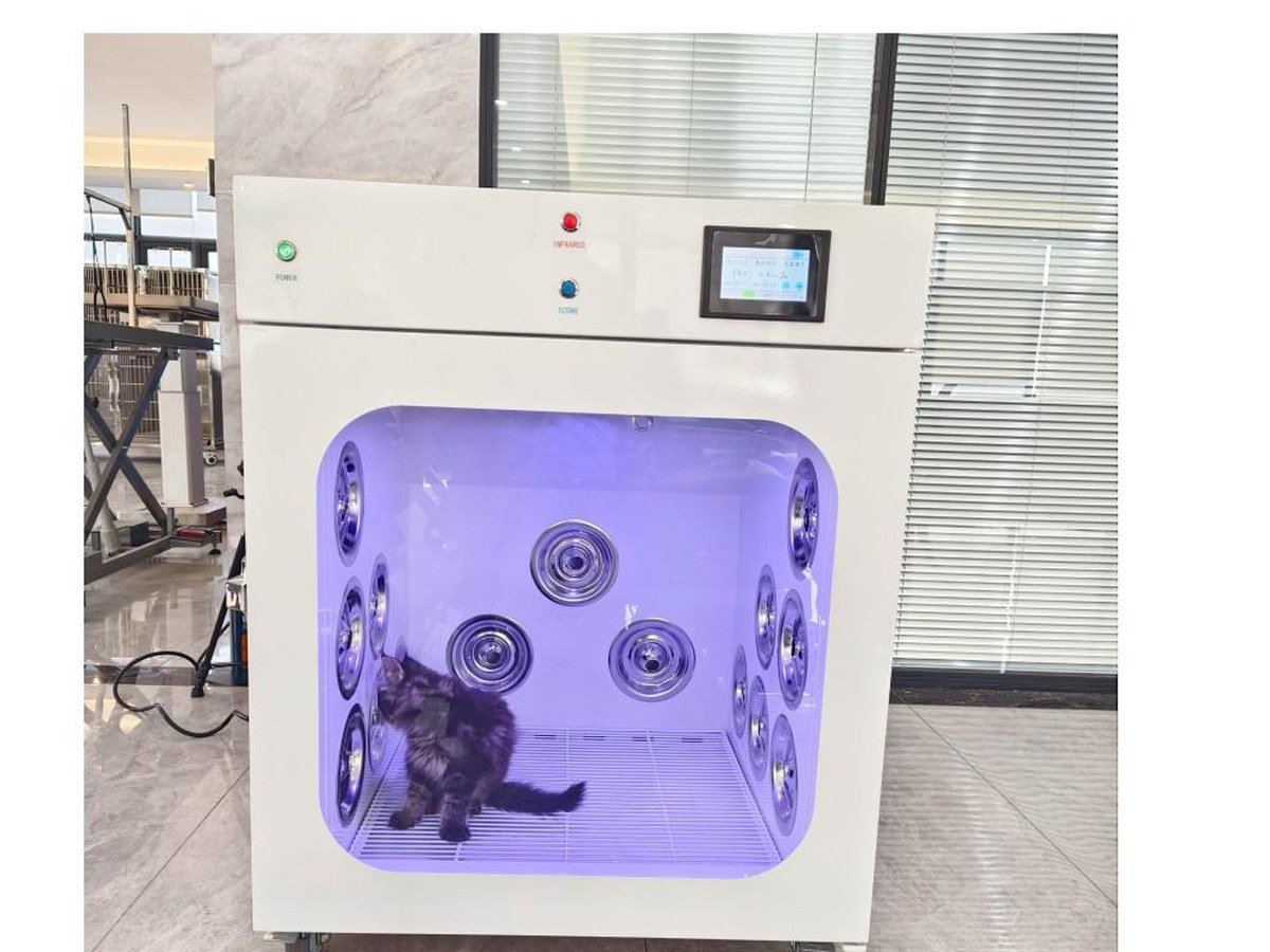 Pet drying cabinet with infrared and ozone sterilisation, a cat inside under the violet light